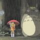 MY NEIGHBOR TOTORO. Real anime treasure