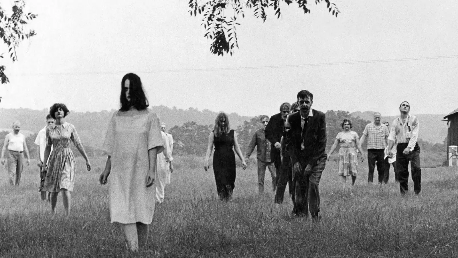 NIGHT OF THE LIVING DEAD: Romero’s Trailblazing Maste rpiece