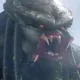 predator