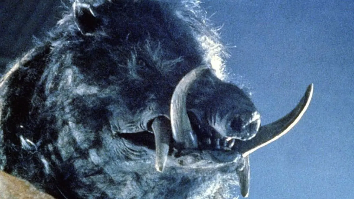 razorback