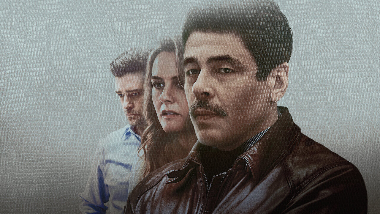 REPTILE. Inconspicuous Thriller in Fincheresque Style [REVIEW]