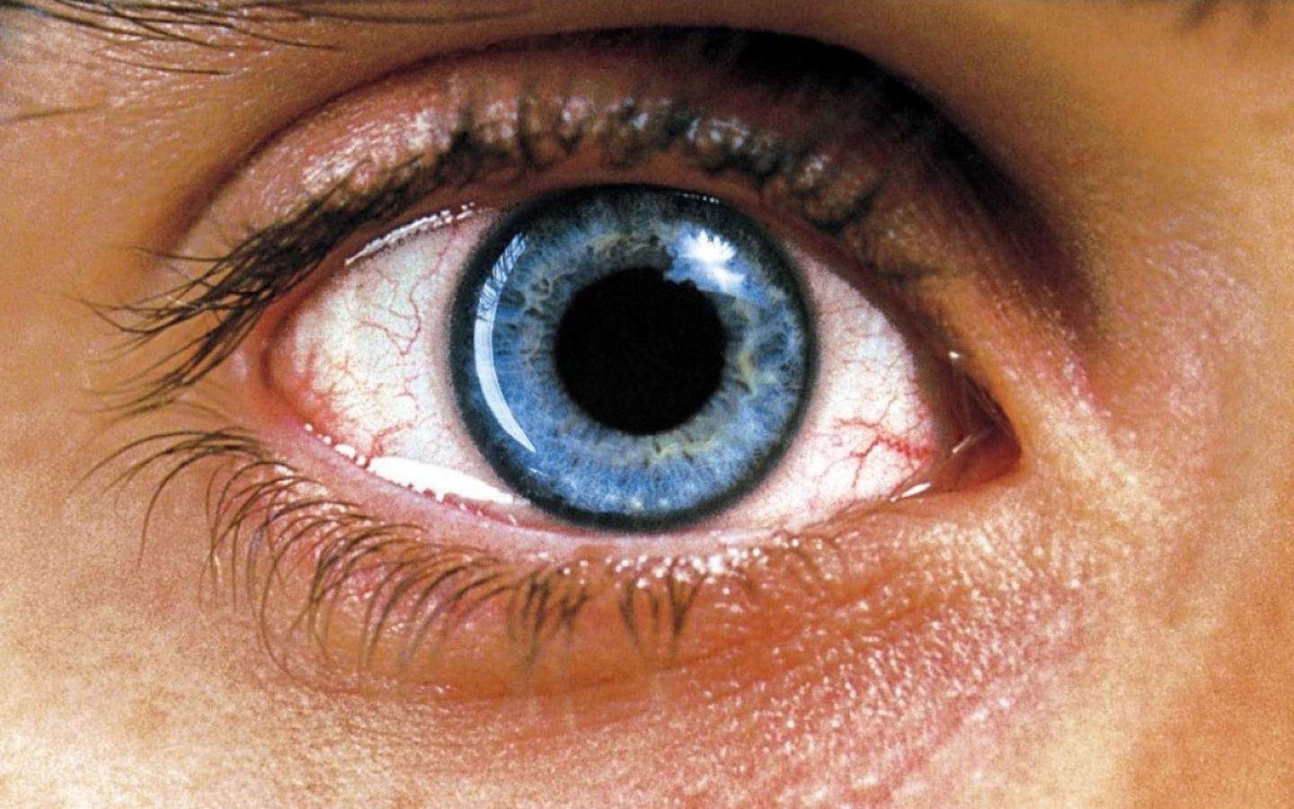 Requiem for a Dream