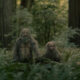 SASQUATCH SUNSET. Big Foot's little adventures