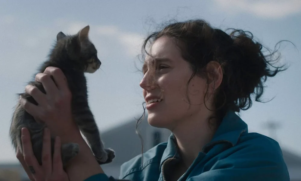 SORRY, BABY. Telling Trauma Without Losing Viewers