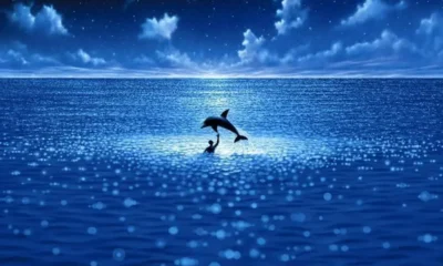 THE BIG BLUE Explained: Incomprehensible, Yet Beautiful