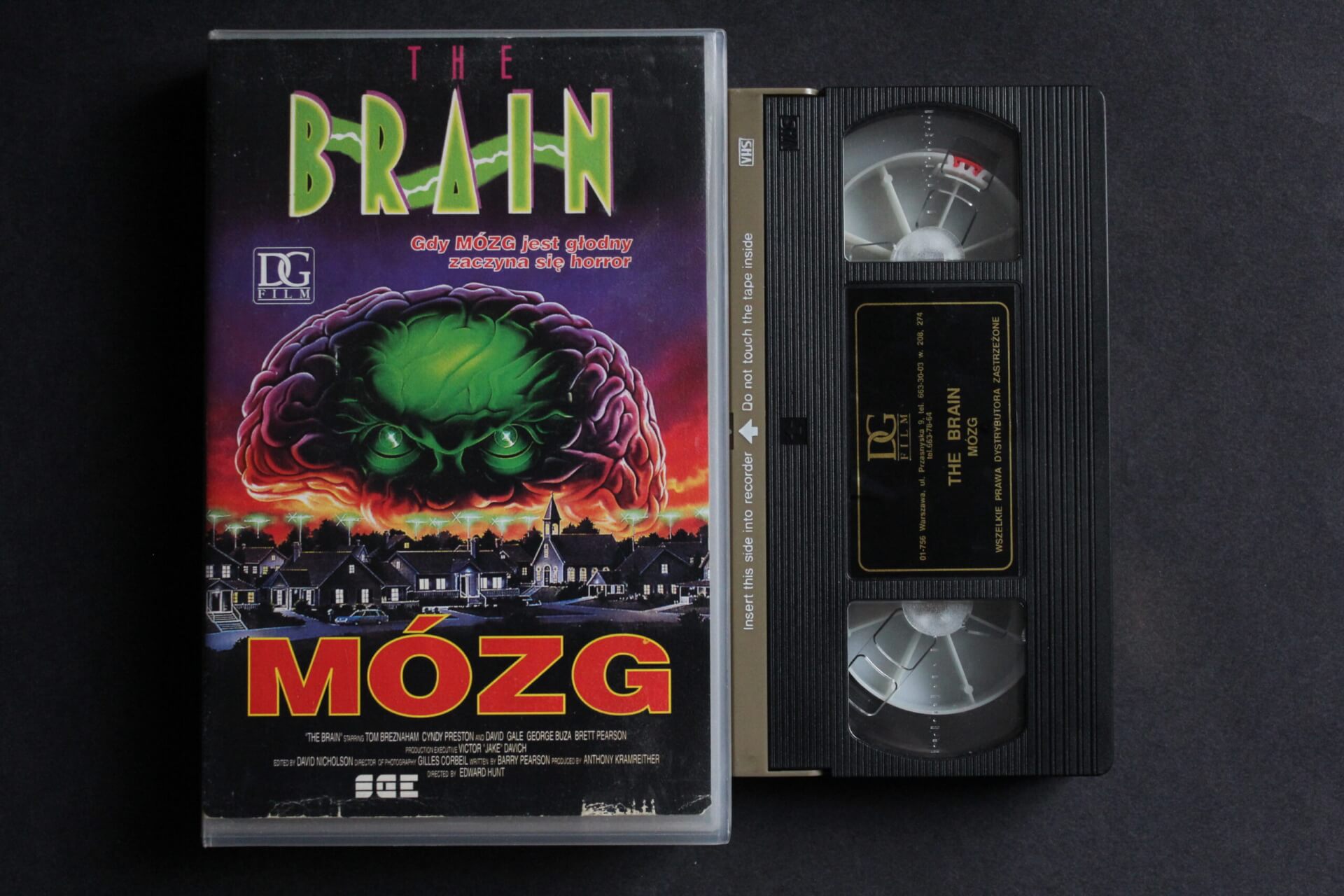 The Brain
