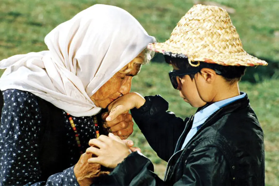 The Color of Paradise, Rang-e khoda, Mohsen Ramezani, Salameh Feyzi