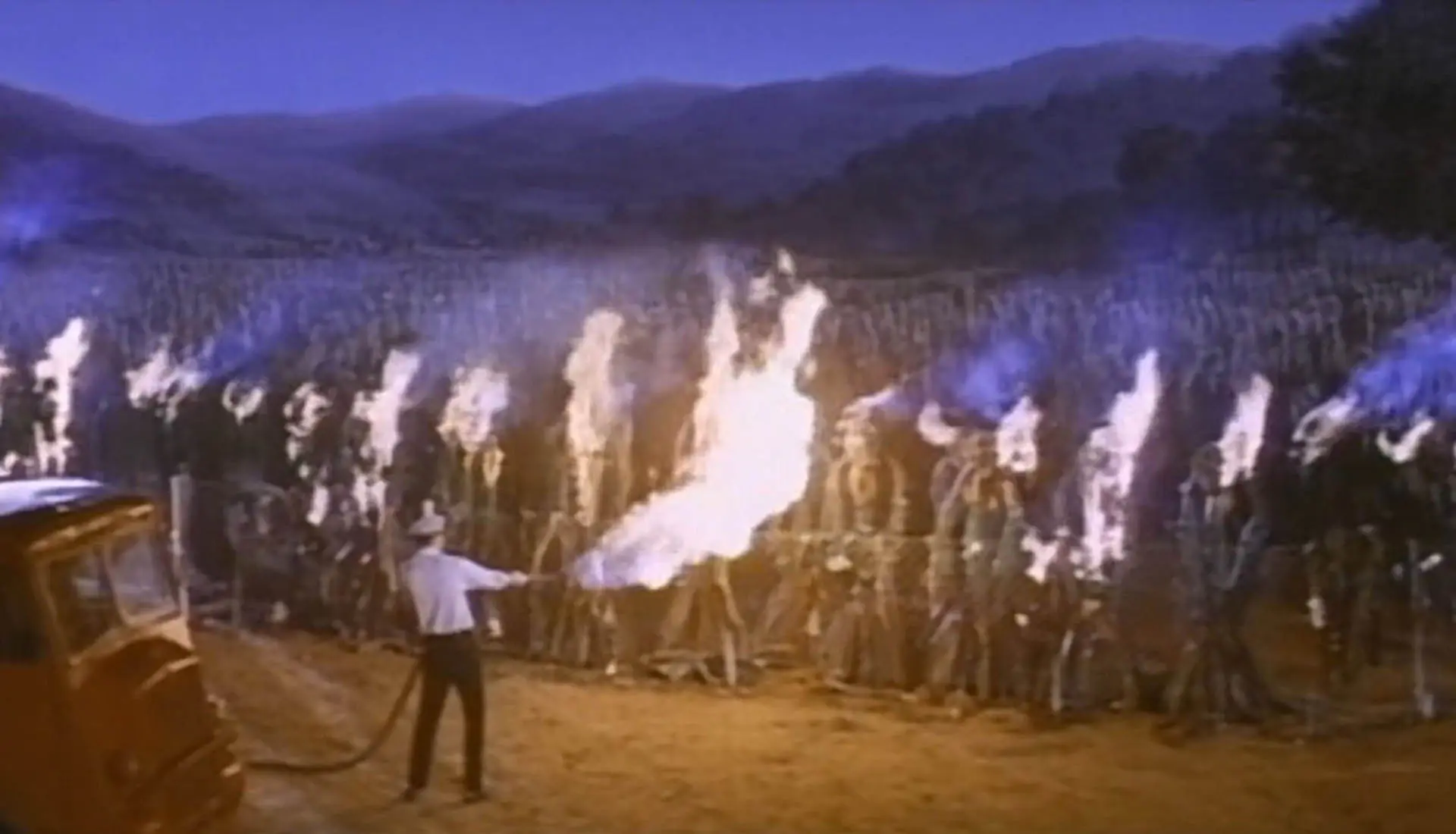 THE DAY OF THE TRIFFIDS