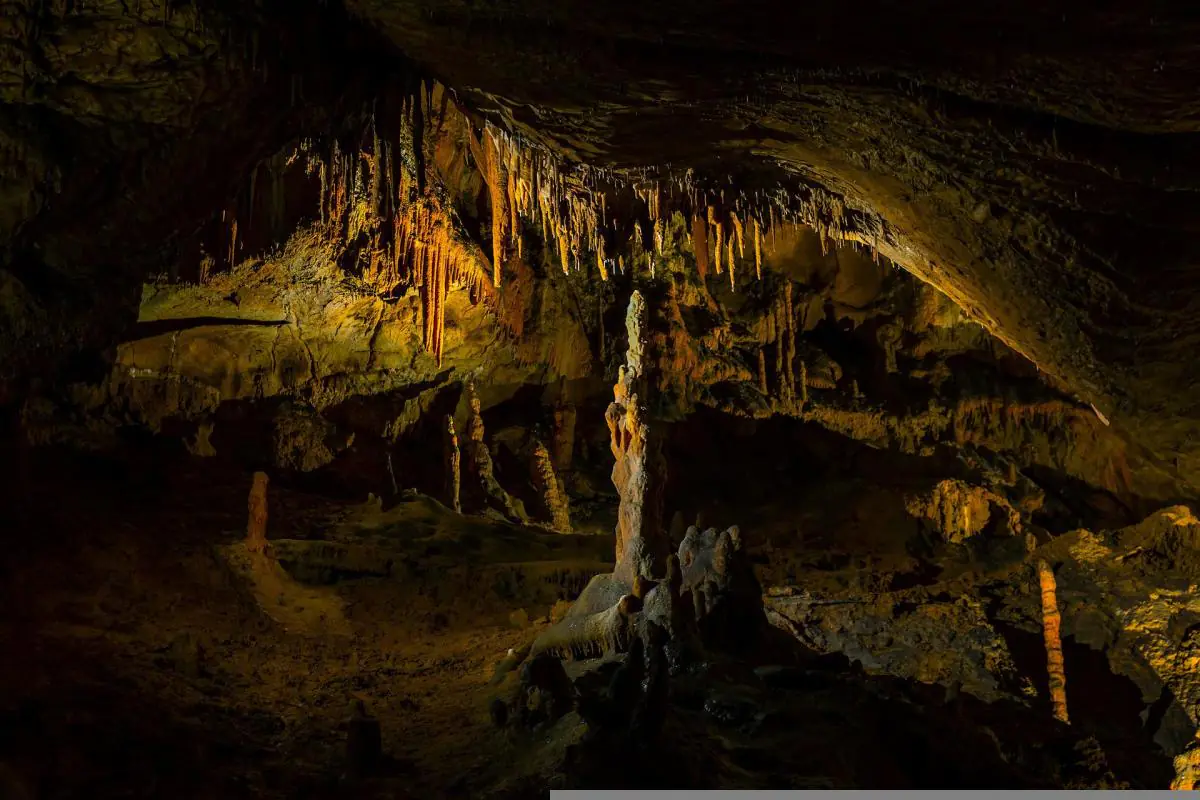 The Descent