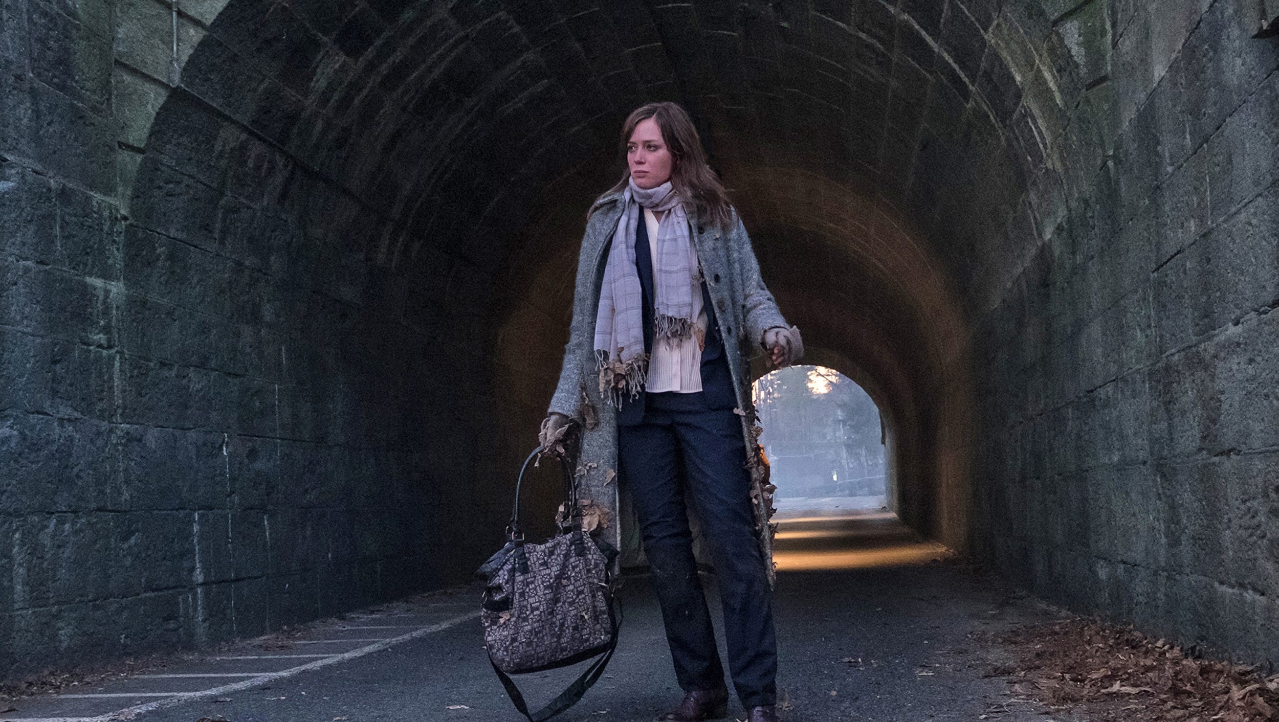 The Girl on the Train Emily Blunt