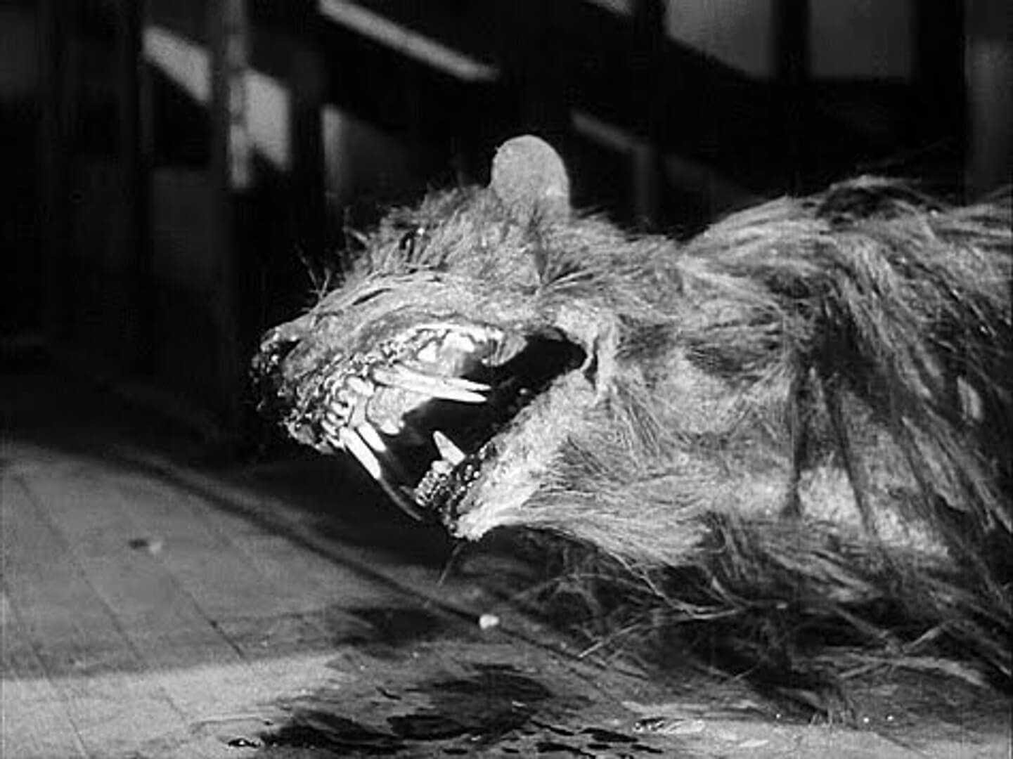 the killer shrews
