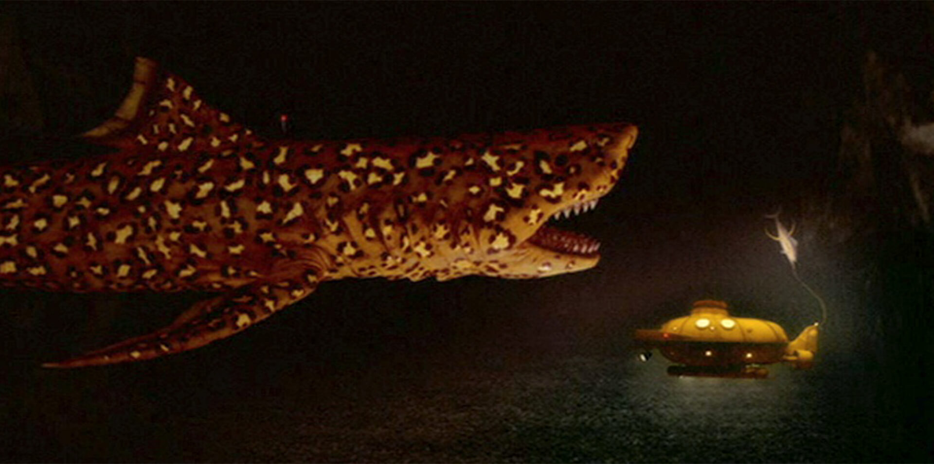 THE LIFE AQUATIC WITH STEVE ZISSOU Jaguar Shark