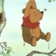pooh