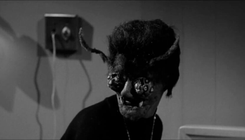 THE WASP WOMAN. Monster movie from 1959