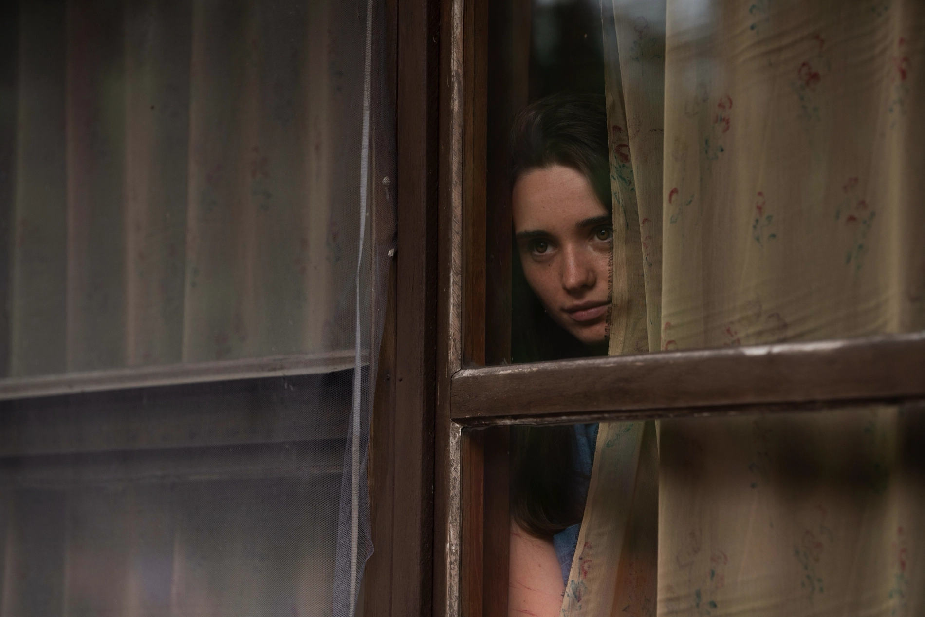 THE WOODS: A Polish Adaptation of Harlan Coben’s Thriller