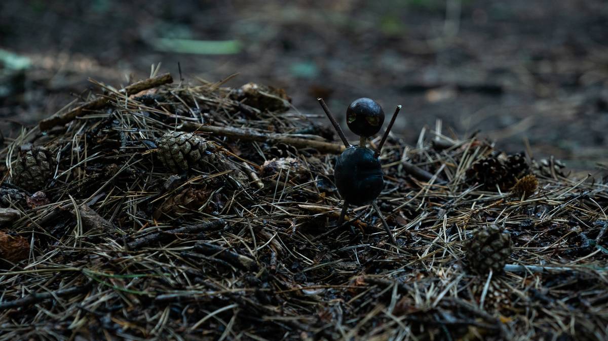 The Chestnut Man, Kastanjemanden