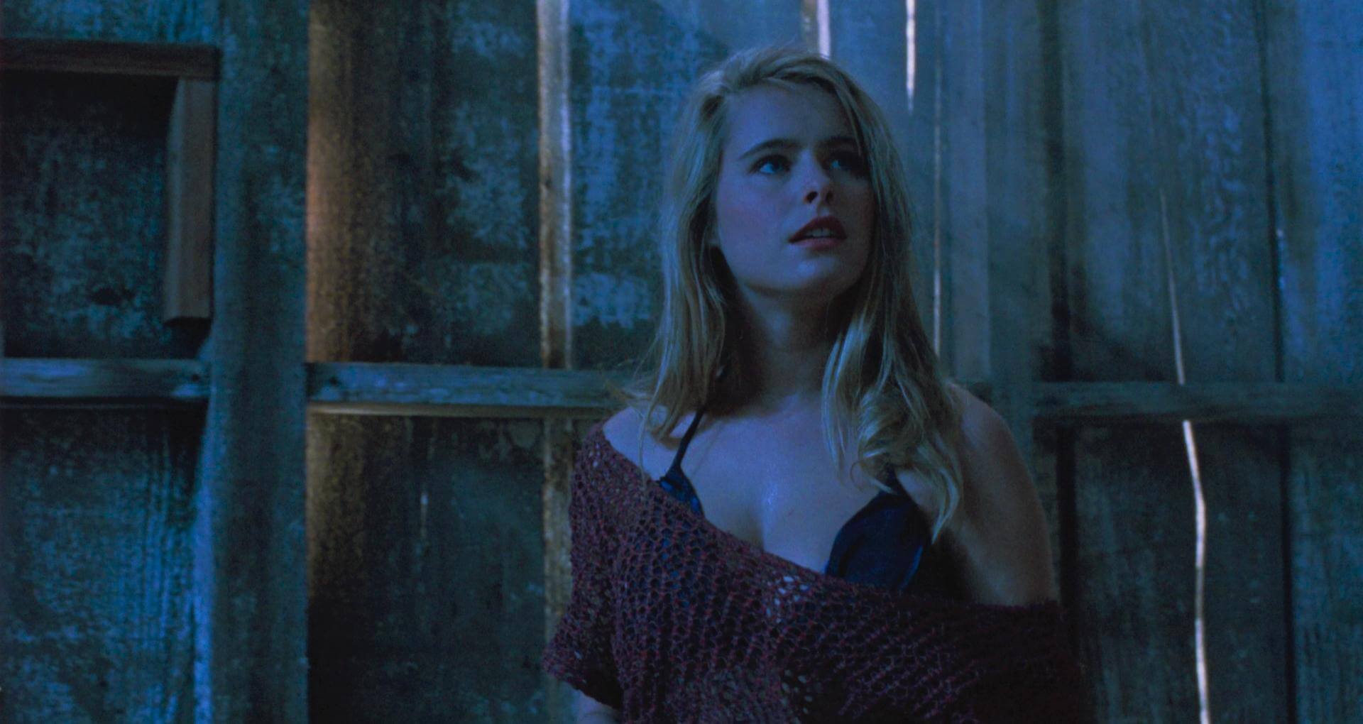 Ticks Ami Dolenz
