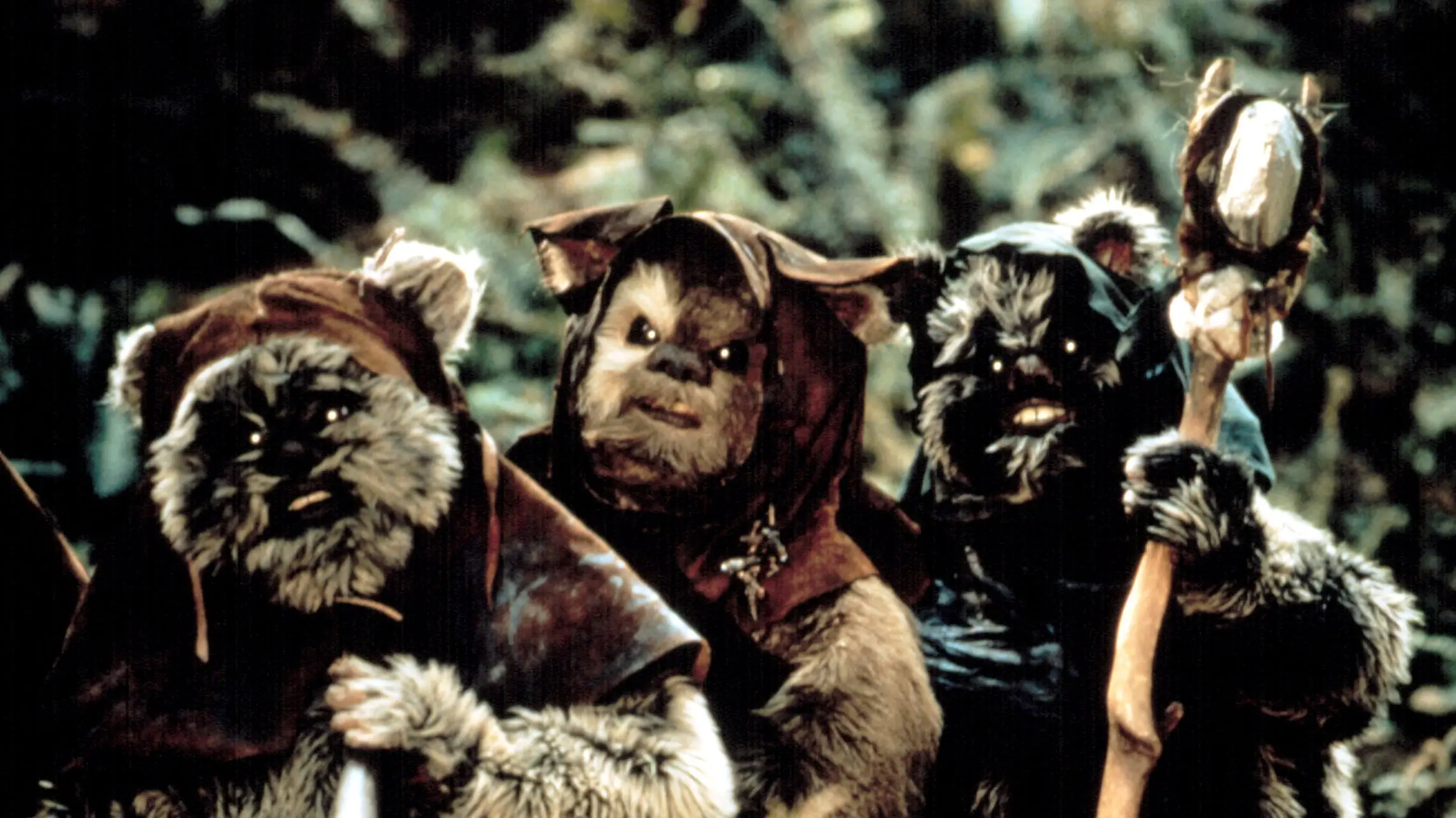 ewoks