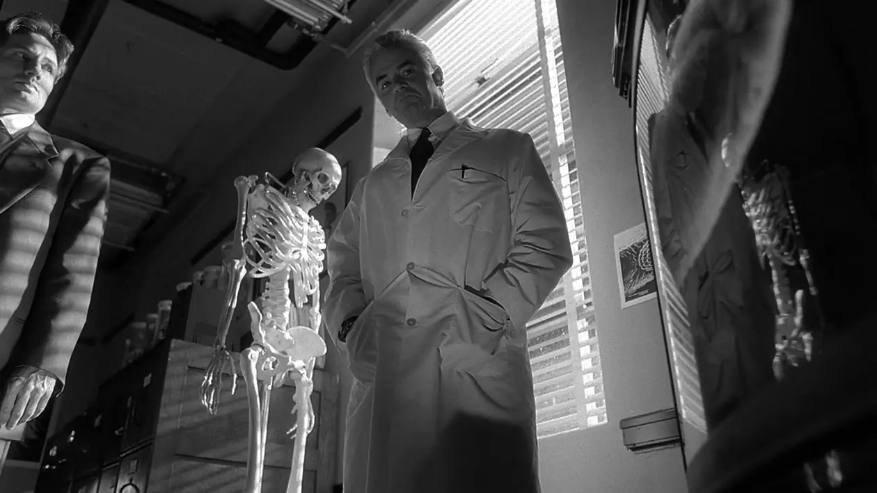 The F-Files: The Post-Modern Prometheus, David Duchovny, John O'Hurley