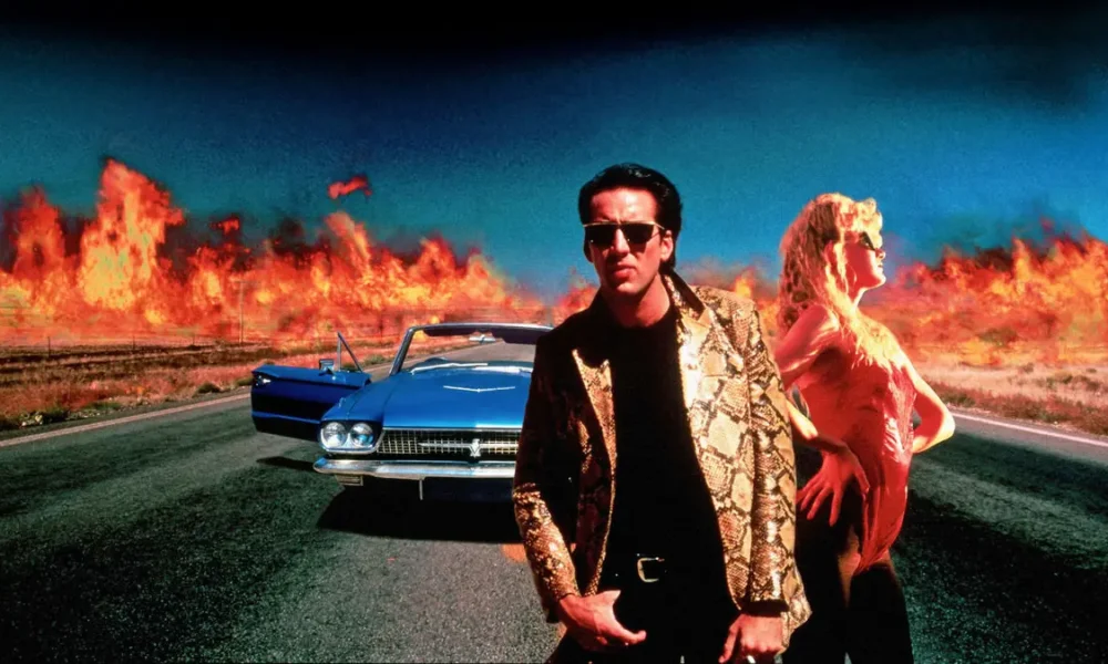WILD AT HEART Explained: Raw Emotions, Truly Unique