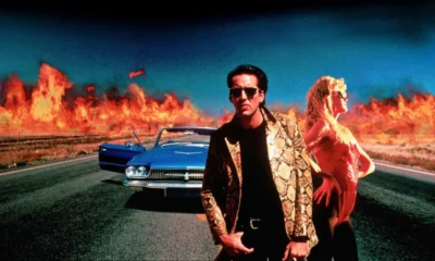 WILD AT HEART Explained: Raw Emotions, Truly Unique