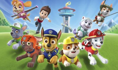 Why PAW PATROL is such a PHENOMENON