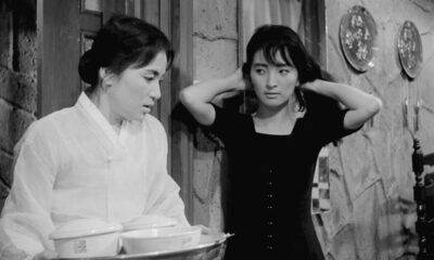 the housemaid
