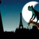 cat in paris