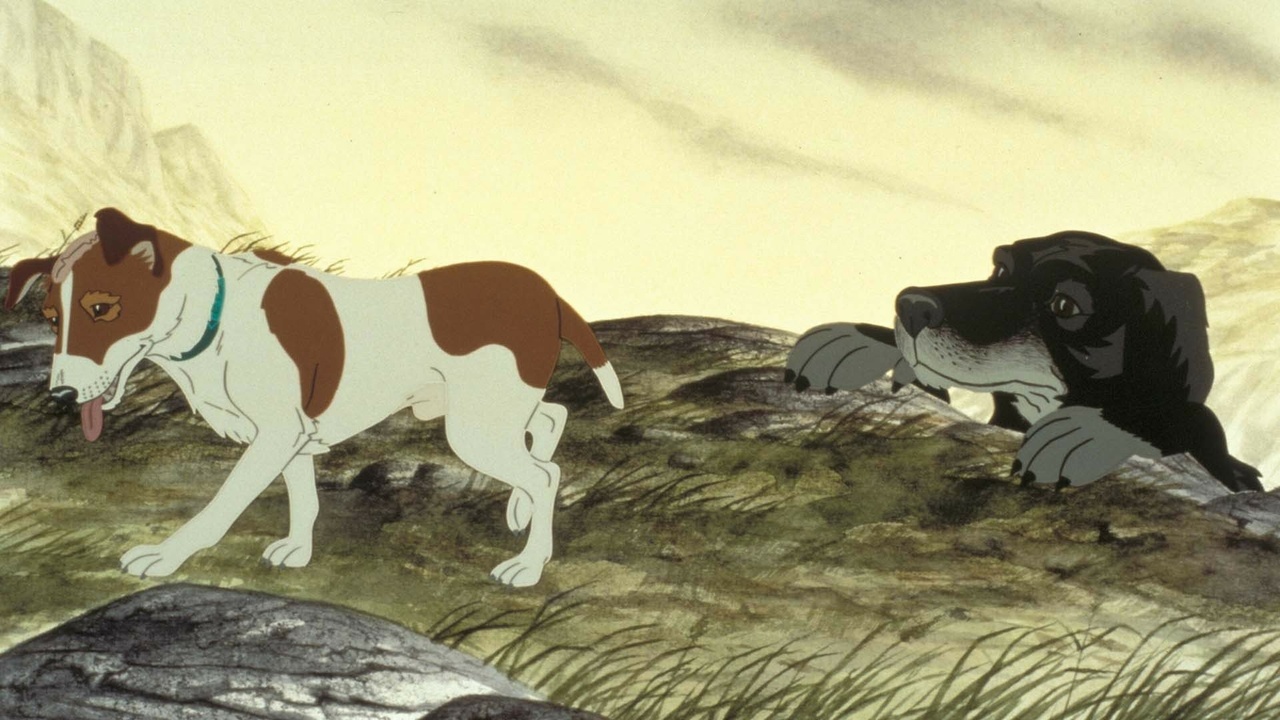 plague dogs
