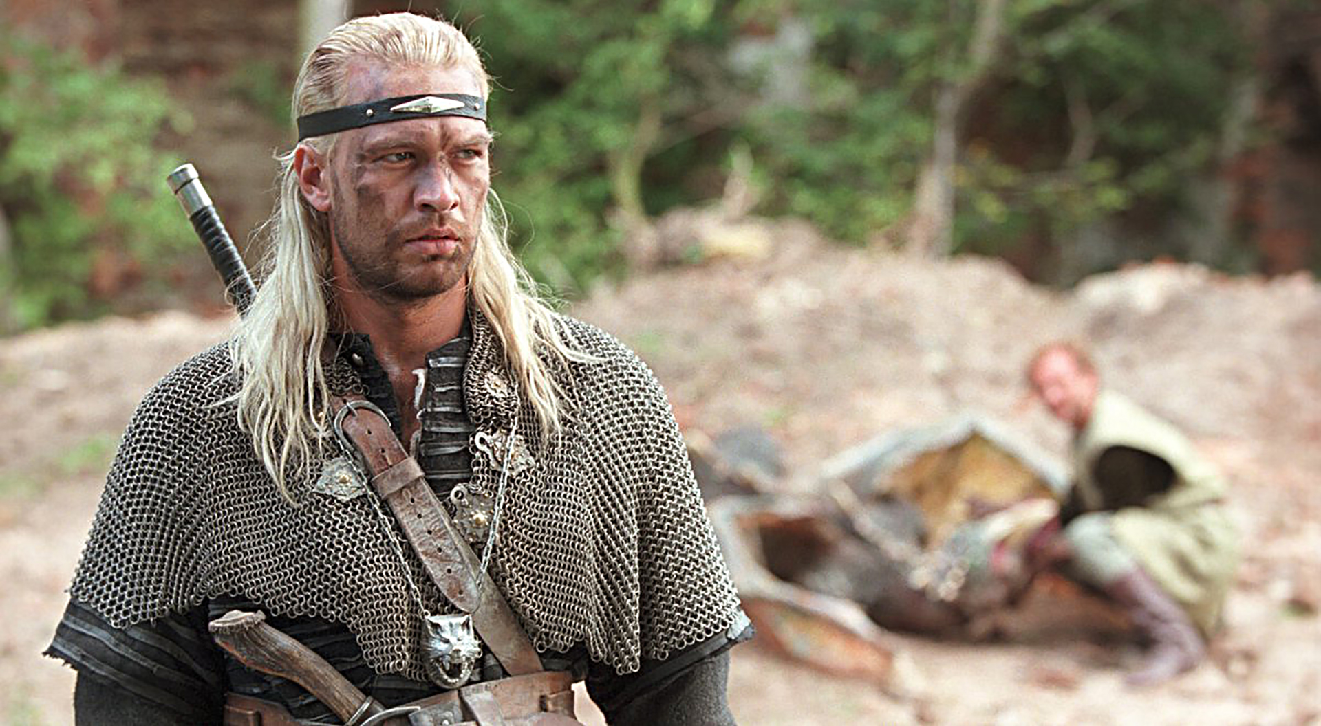 the witcher, wiedźmin