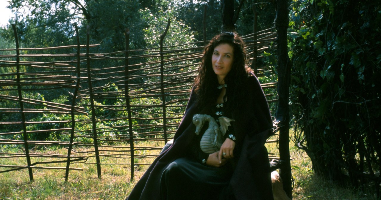 the witcher, wiedźmin