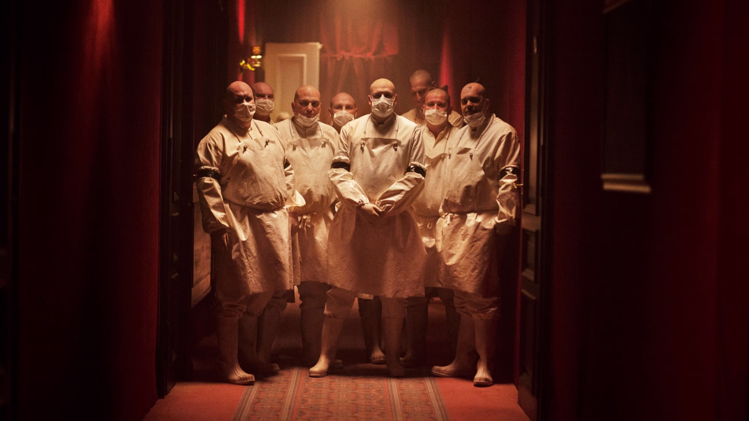 cadaver