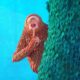 missing link
