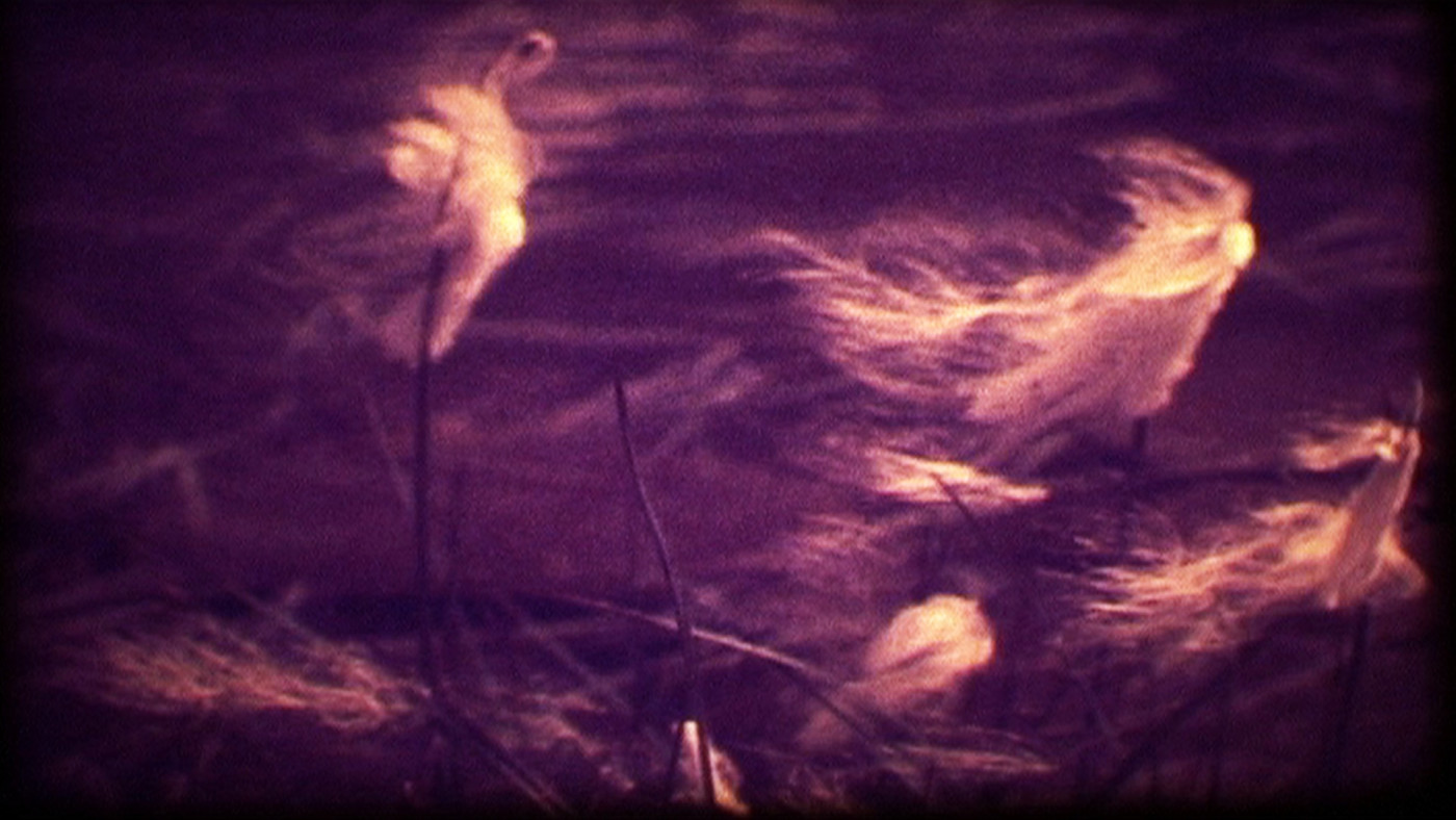 The Sound of Insects: Record of a Mummy