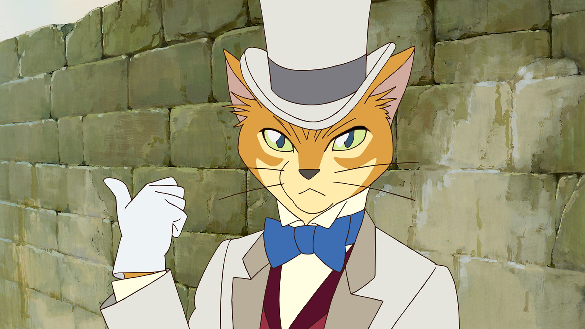 cat returns