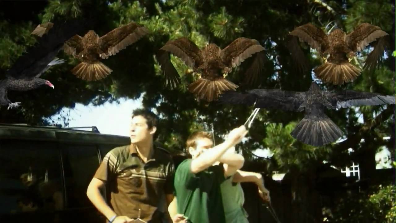 BIRDEMIC: SHOCK AND TERROR