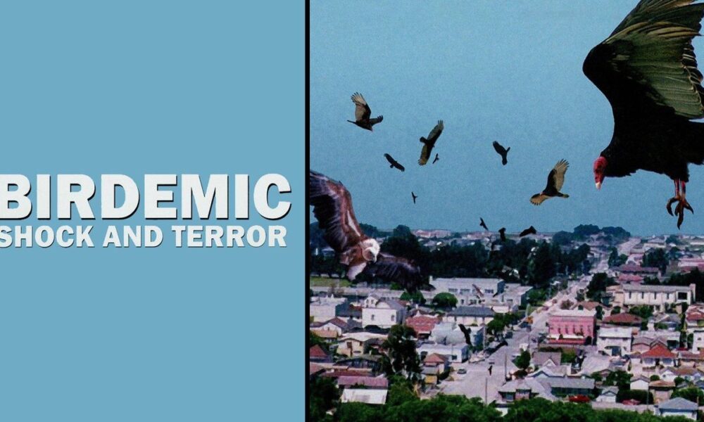 BIRDEMIC: SHOCK AND TERROR - Turns Your Brain Into Pulp