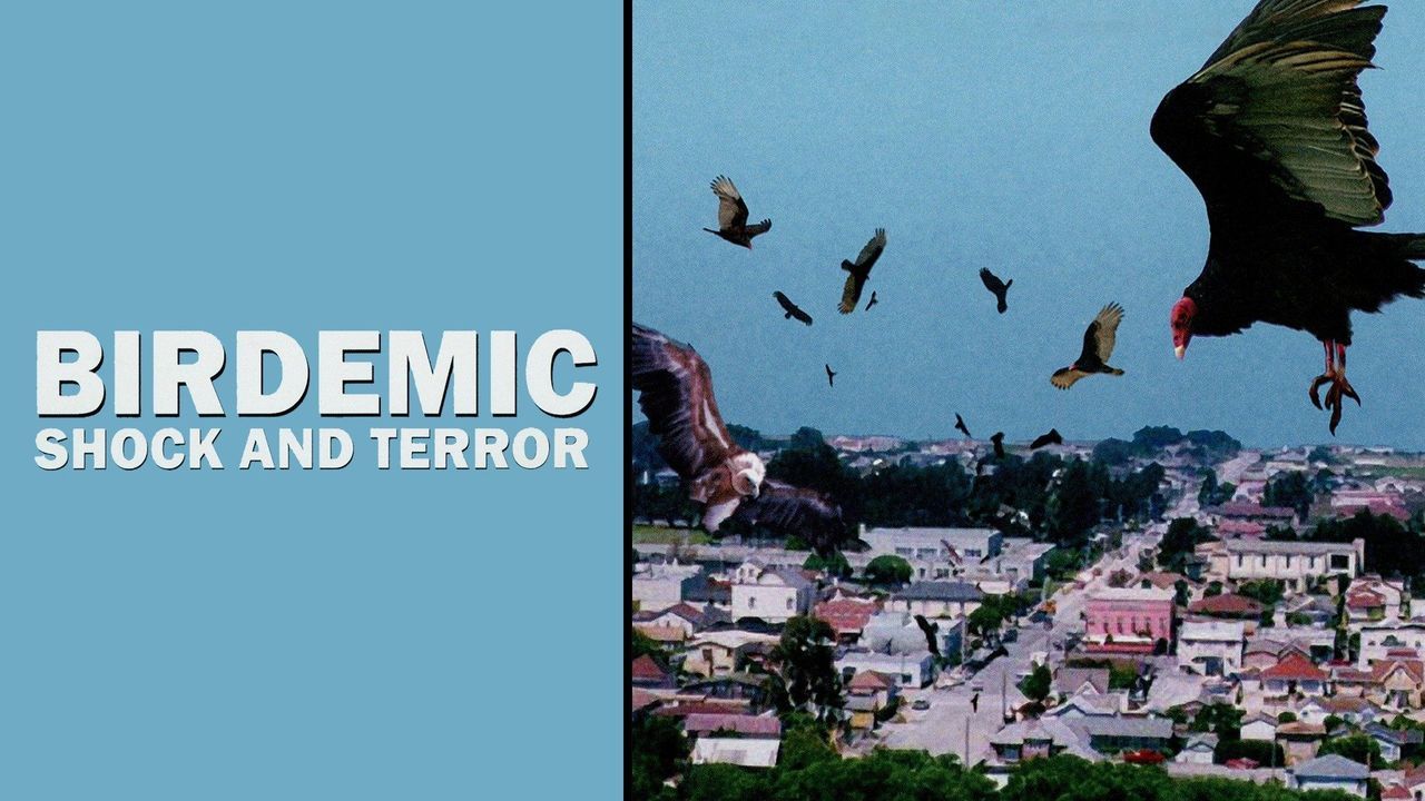 BIRDEMIC: SHOCK AND TERROR - Turns Your Brain Into Pulp