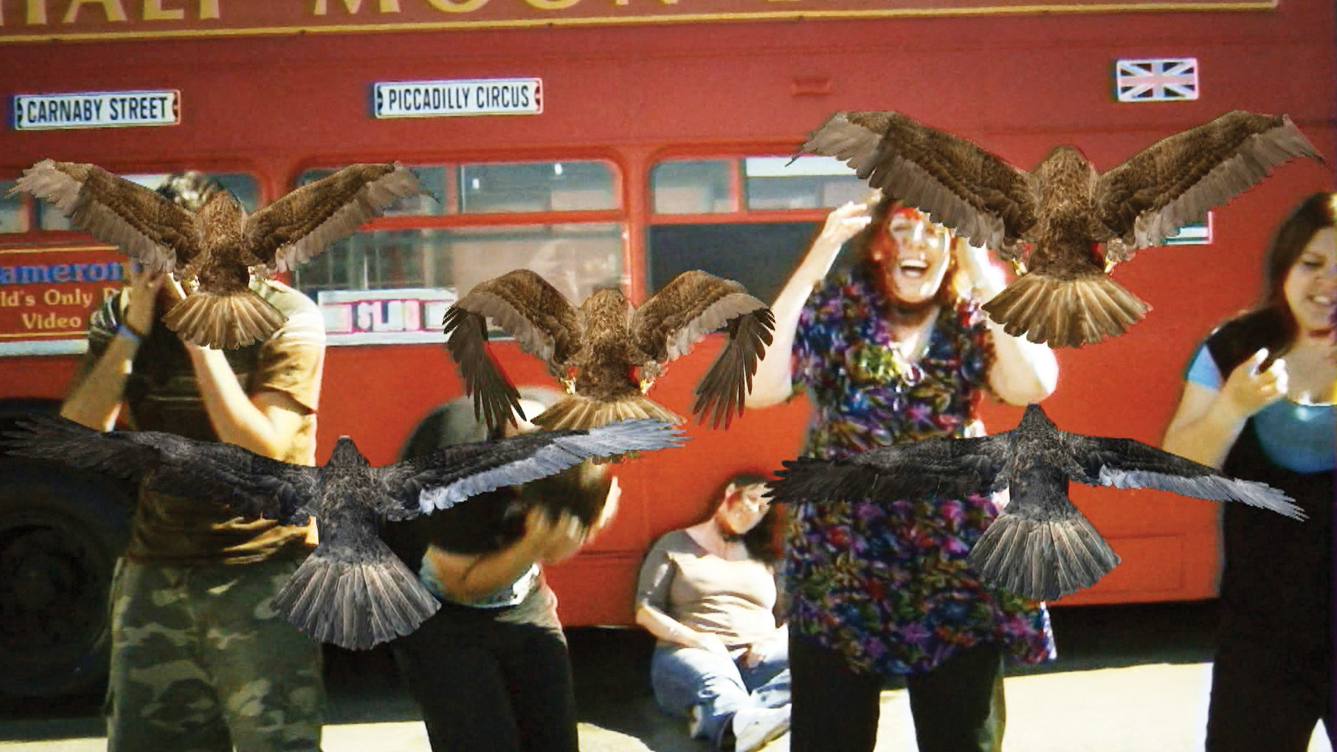 BIRDEMIC: SHOCK AND TERROR